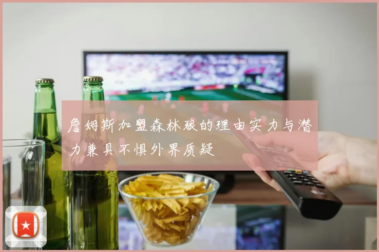詹姆斯加盟森林狼的理由实力与潜力兼具不惧外界质疑
