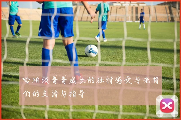 哈珀谈哥哥成长的独特感受与老将们的支持与指导