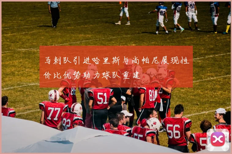 马刺队引进哈里斯与尚帕尼展现性价比优势助力球队重建